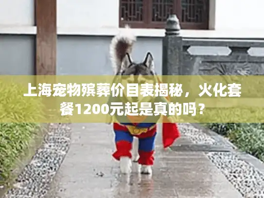 上海宠物殡葬价目表揭秘，火化套餐1200元起是真的吗？