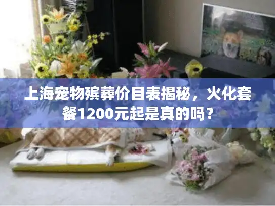 上海宠物殡葬价目表揭秘，火化套餐1200元起是真的吗？