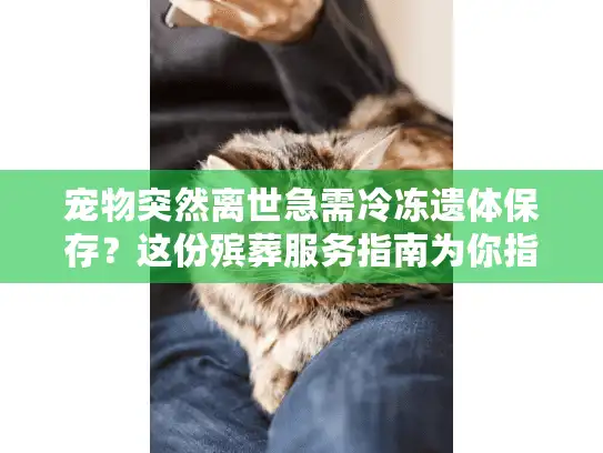 宠物突然离世急需冷冻遗体保存？这份殡葬服务指南为你指路