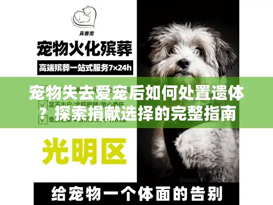 宠物失去爱宠后如何处置遗体？探索捐献选择的完整指南