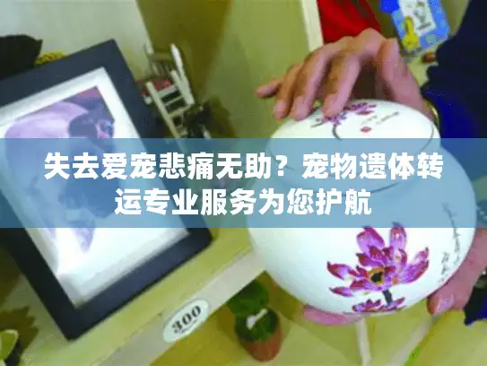 失去爱宠悲痛无助？宠物遗体转运专业服务为您护航