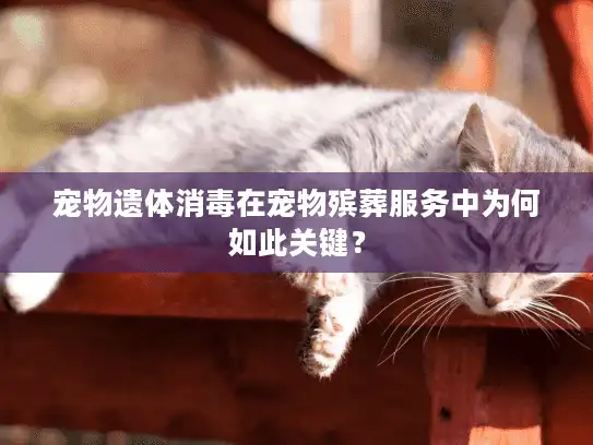 宠物遗体消毒在宠物殡葬服务中为何如此关键？