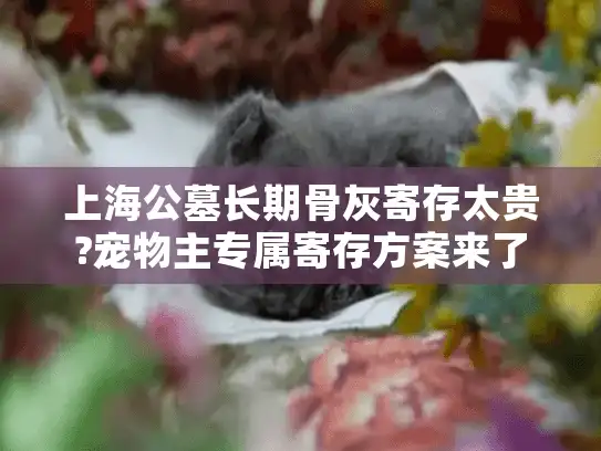 上海公墓长期骨灰寄存太贵?宠物主专属寄存方案来了