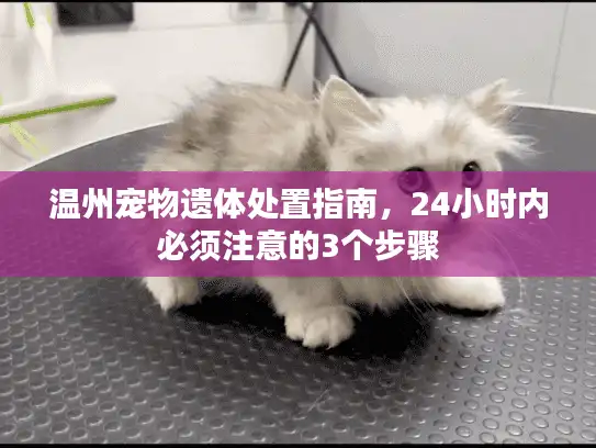 温州宠物遗体处置指南，24小时内必须注意的3个步骤