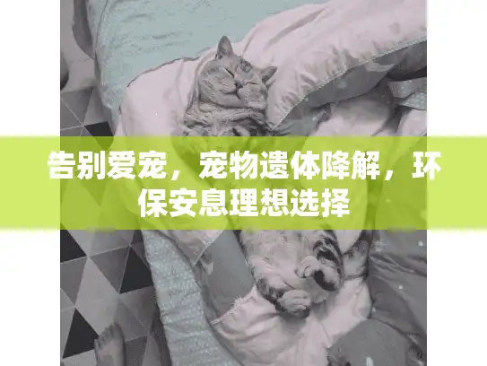 告别爱宠，宠物遗体降解，环保安息理想选择