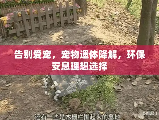 告别爱宠，宠物遗体降解，环保安息理想选择