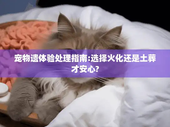 宠物遗体验处理指南:选择火化还是土葬才安心?