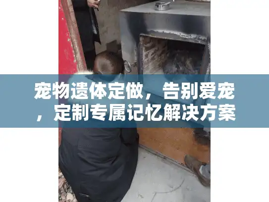 宠物遗体定做，告别爱宠，定制专属记忆解决方案