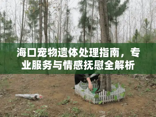海口宠物遗体处理指南，专业服务与情感抚慰全解析