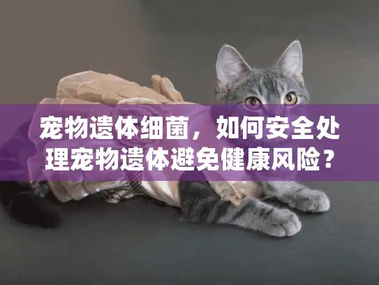 宠物遗体细菌，如何安全处理宠物遗体避免健康风险？