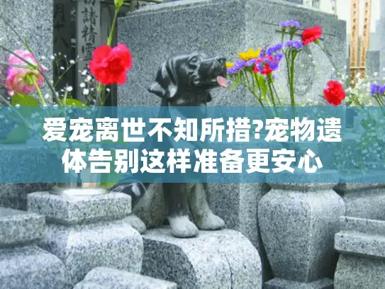 爱宠离世不知所措?宠物遗体告别这样准备更安心