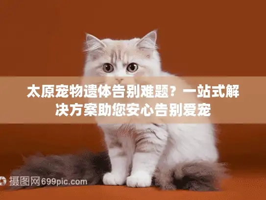 太原宠物遗体告别难题？一站式解决方案助您安心告别爱宠