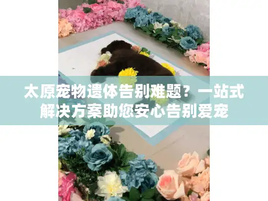 太原宠物遗体告别难题？一站式解决方案助您安心告别爱宠