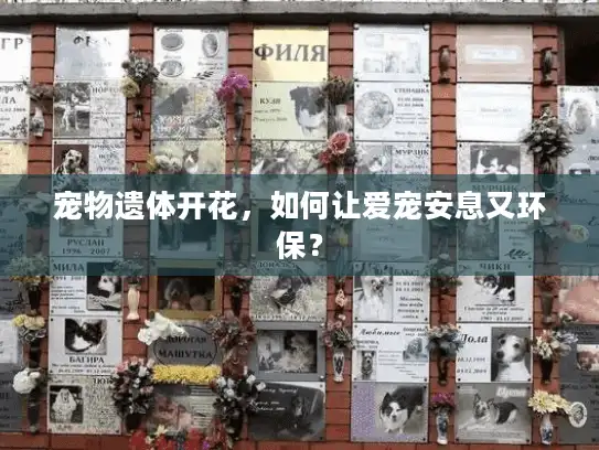 宠物遗体开花，如何让爱宠安息又环保？