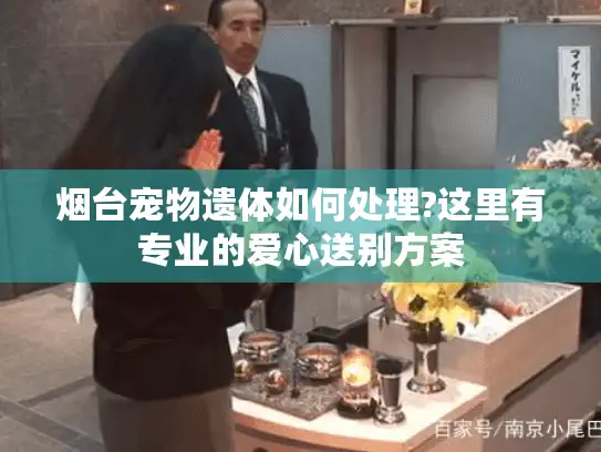 烟台宠物遗体如何处理?这里有专业的爱心送别方案