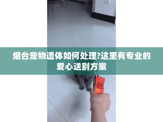 烟台宠物遗体如何处理?这里有专业的爱心送别方案
