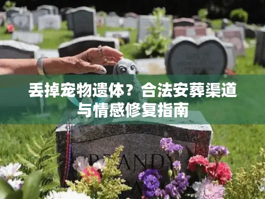 丢掉宠物遗体？合法安葬渠道与情感修复指南