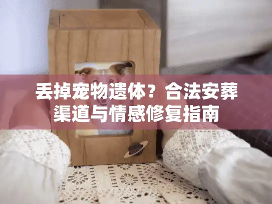 丢掉宠物遗体？合法安葬渠道与情感修复指南
