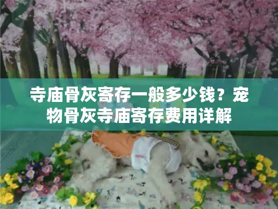 寺庙骨灰寄存一般多少钱？宠物骨灰寺庙寄存费用详解