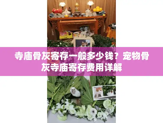 寺庙骨灰寄存一般多少钱？宠物骨灰寺庙寄存费用详解