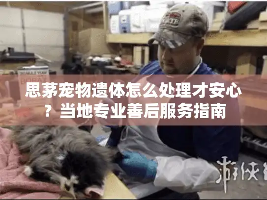 思茅宠物遗体怎么处理才安心？当地专业善后服务指南