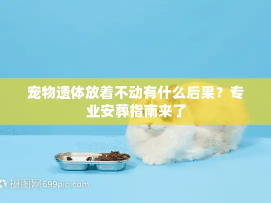 宠物遗体放着不动有什么后果？专业安葬指南来了