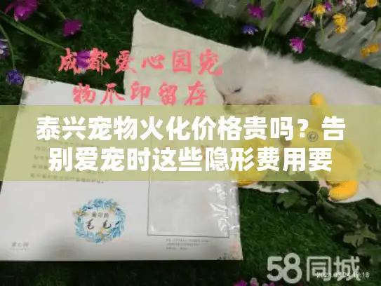 泰兴宠物火化价格贵吗？告别爱宠时这些隐形费用要当心