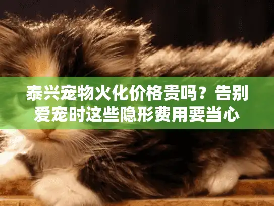 泰兴宠物火化价格贵吗？告别爱宠时这些隐形费用要当心