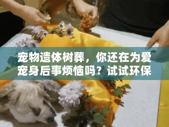 宠物遗体树葬，你还在为爱宠身后事烦恼吗？试试环保安葬新方式