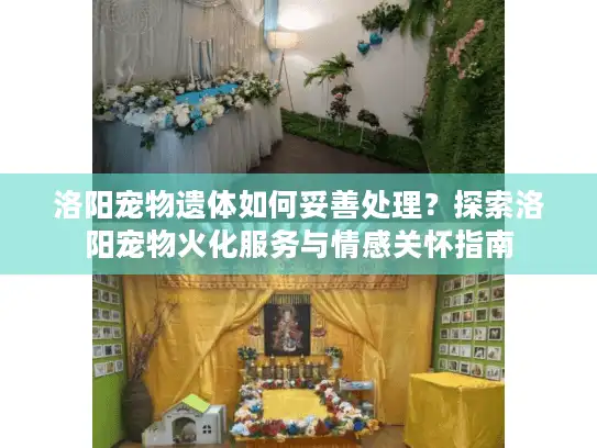 洛阳宠物遗体如何妥善处理？探索洛阳宠物火化服务与情感关怀指南