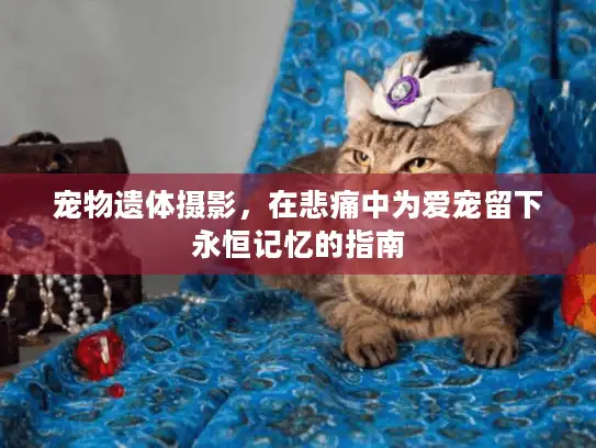 宠物遗体摄影，在悲痛中为爱宠留下永恒记忆的指南