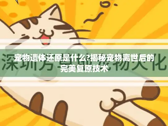 宠物遗体还原是什么?揭秘宠物离世后的完美复原技术