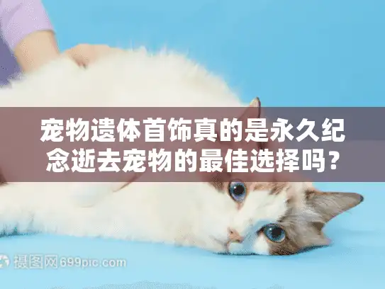 宠物遗体首饰真的是永久纪念逝去宠物的最佳选择吗？