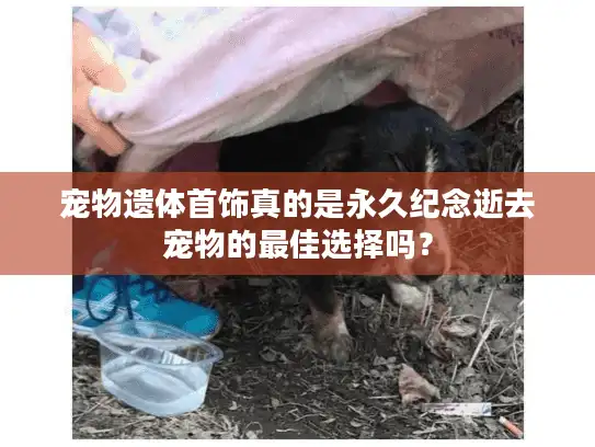 宠物遗体首饰真的是永久纪念逝去宠物的最佳选择吗？