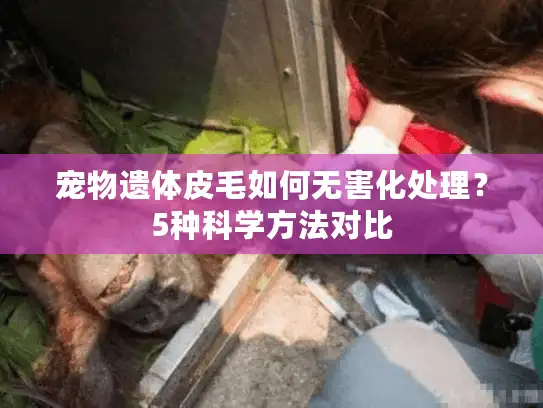 宠物遗体皮毛如何无害化处理？5种科学方法对比