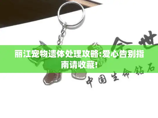 丽江宠物遗体处理攻略:爱心告别指南请收藏!