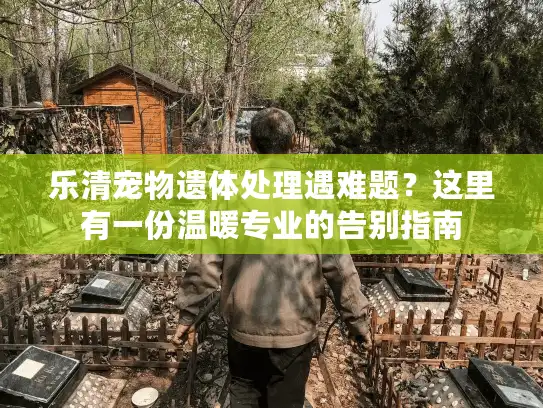 乐清宠物遗体处理遇难题？这里有一份温暖专业的告别指南