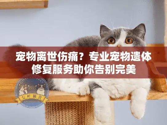 宠物离世伤痛？专业宠物遗体修复服务助你告别完美