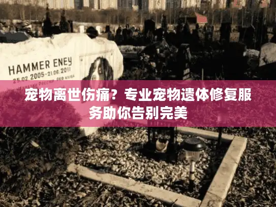 宠物离世伤痛？专业宠物遗体修复服务助你告别完美