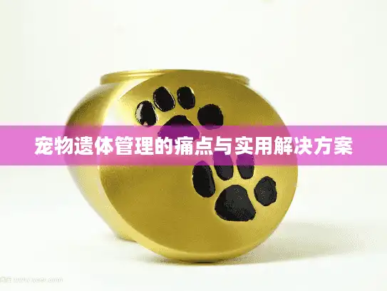 宠物遗体管理的痛点与实用解决方案