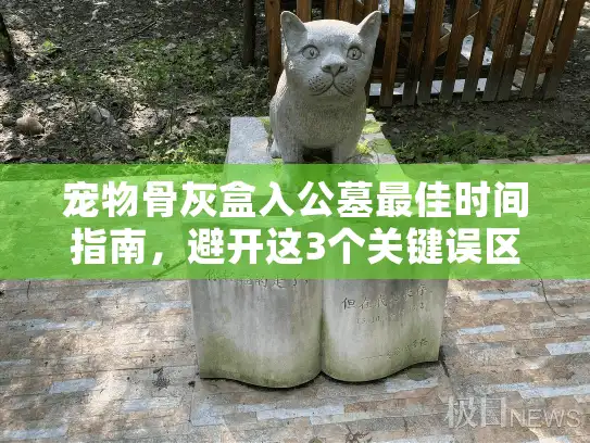 宠物骨灰盒入公墓最佳时间指南，避开这3个关键误区