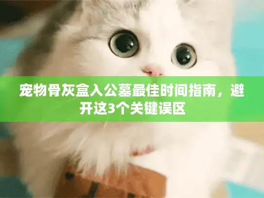 宠物骨灰盒入公墓最佳时间指南，避开这3个关键误区