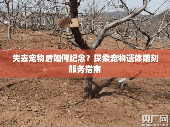 失去宠物后如何纪念？探索宠物遗体雕刻服务指南