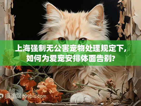 上海强制无公害宠物处理规定下,如何为爱宠安排体面告别?