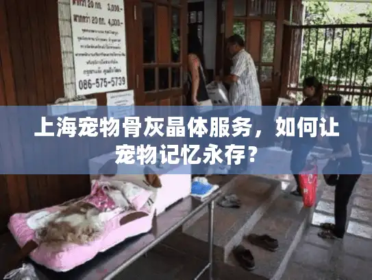 上海宠物骨灰晶体服务，如何让宠物记忆永存？