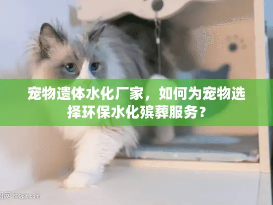 宠物遗体水化厂家，如何为宠物选择环保水化殡葬服务？