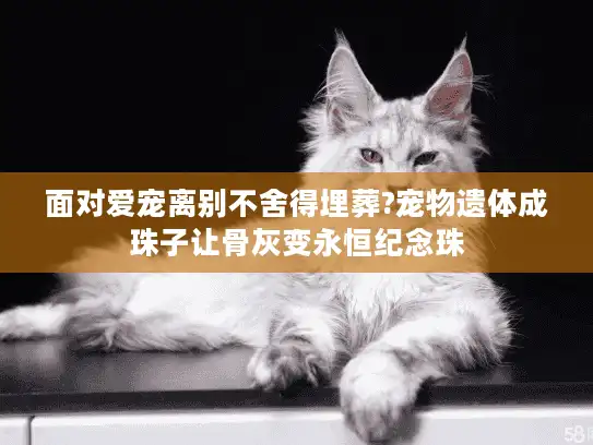 面对爱宠离别不舍得埋葬?宠物遗体成珠子让骨灰变永恒纪念珠