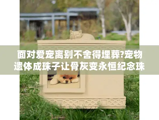 面对爱宠离别不舍得埋葬?宠物遗体成珠子让骨灰变永恒纪念珠