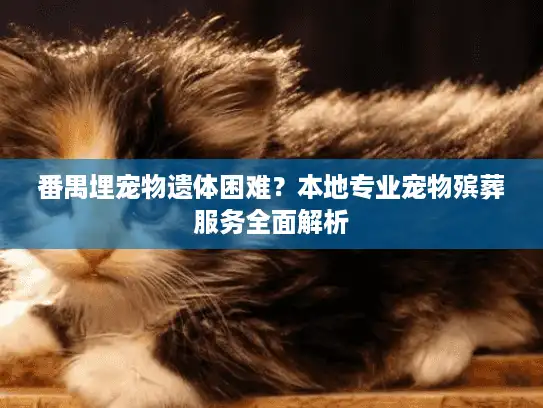 番禺埋宠物遗体困难？本地专业宠物殡葬服务全面解析