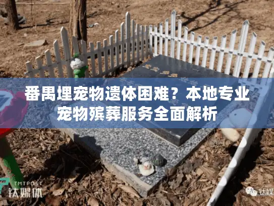 番禺埋宠物遗体困难？本地专业宠物殡葬服务全面解析